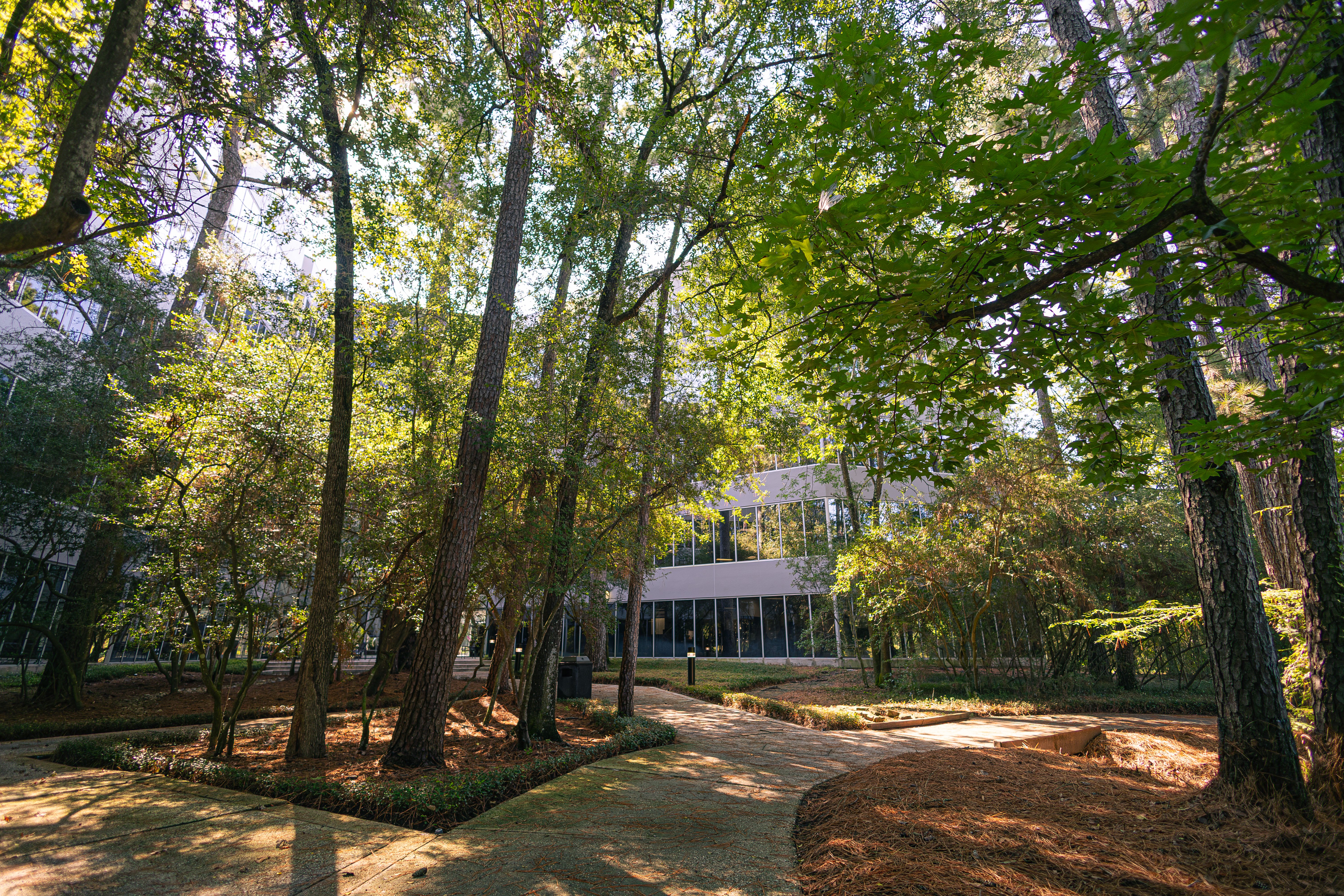 SourceOffice_Houston_10